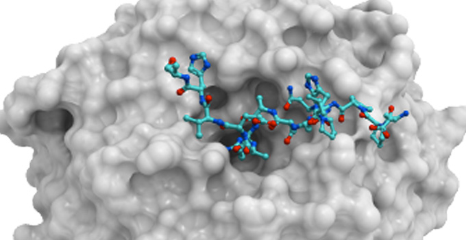 Image of a drug molecule interacting with its target.