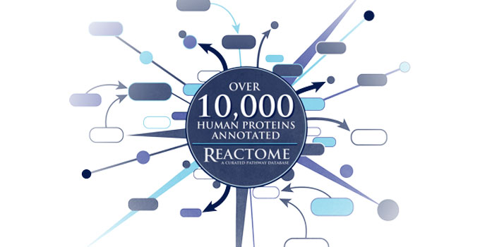 Reactome releases 10,000th annotated human protein, a major milestone that will benefit research community