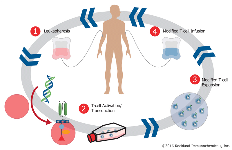 BioCanRX makes a major investment in Canadian biotherapeutics research