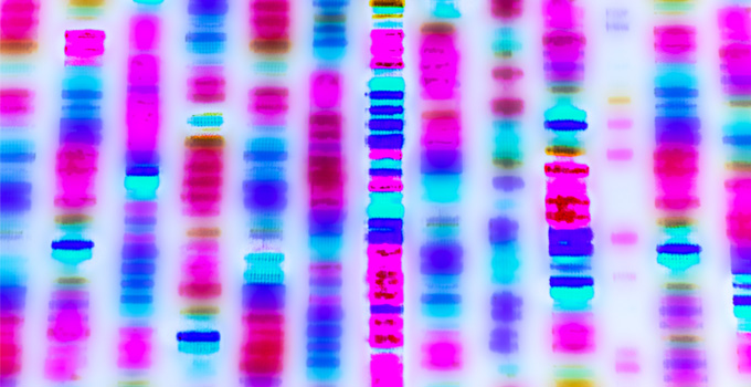 DNA sequence