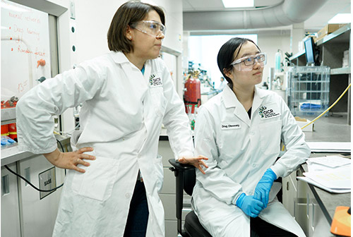 Drug Discovery team at work.