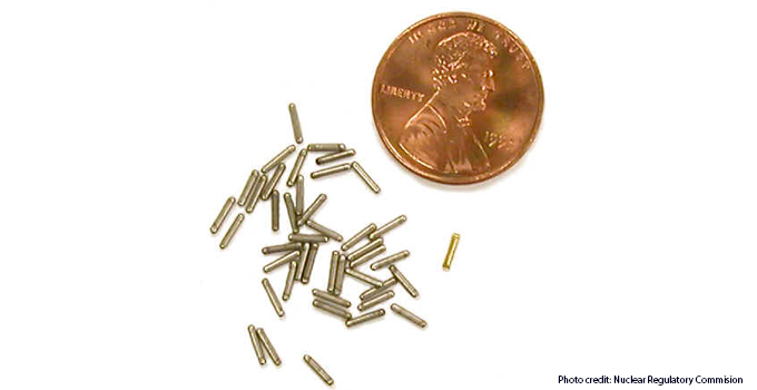 Seeds used in radiation therapy are shown, along with a penny to provide scale. 