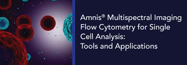 Amnis Banner