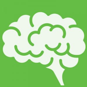 Brain Cancer Translational Research Initiative