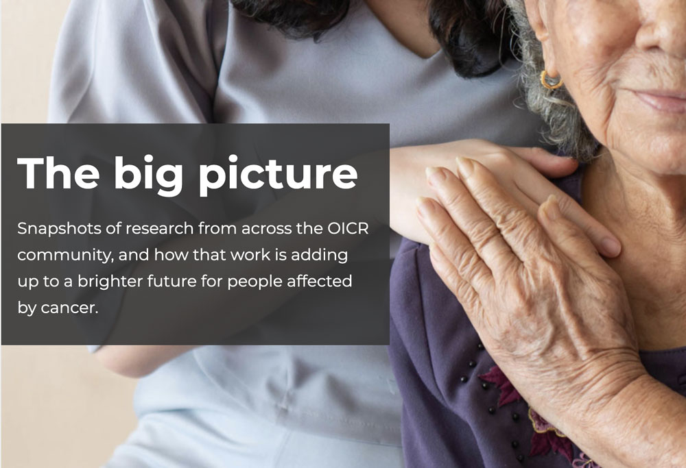 The Big Picture - OICR Impact Report 2022-23