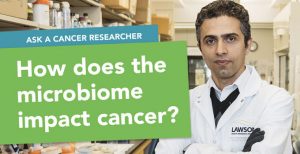 Ask a Cancer Researcher: How does the gut microbiome impact cancer?