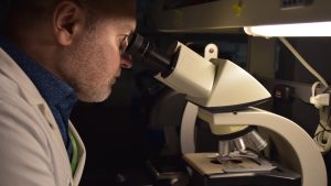 OICR supports four new studies seeking cancer insights from existing patient samples and data